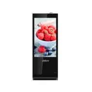 Монитор DAHUA DH-LDV55-SAI200
